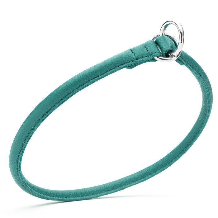 Teal slip dog collar with metal hardware, made from rolled leather, 3/8 inch wide