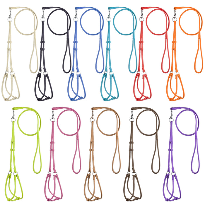 Round leather harness and lead sets for dogs with metal hardware, 11 colors available