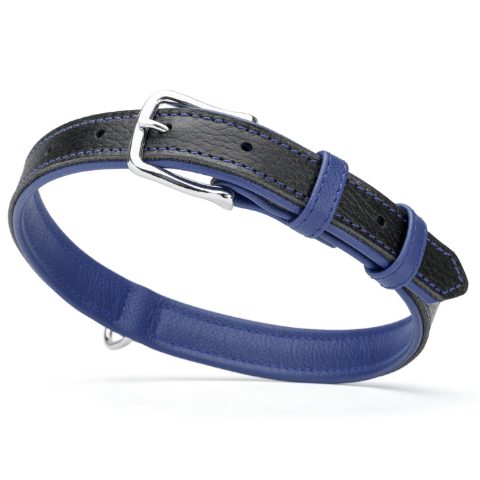 Black and blue leather dog collar with metal buckle and D-ring, 1 inch wide