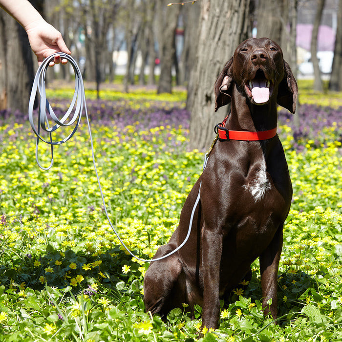 Viper Biothane Working Dog Lead, 6 Feet Long