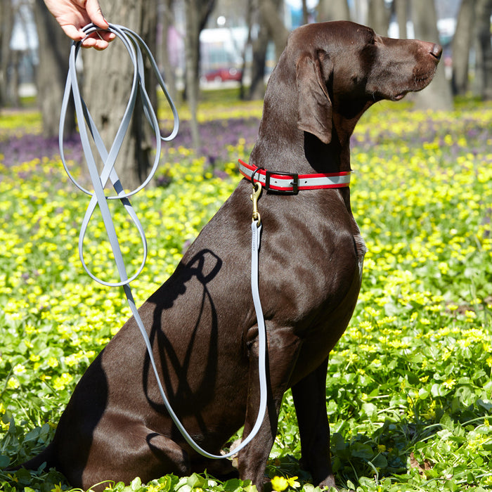 Viper Biothane Working Dog Lead, 6 Feet Long