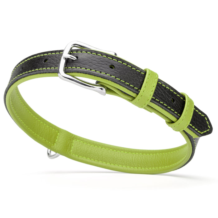 Black and green leather dog collar with metal buckle and D-ring, 1 inch wide