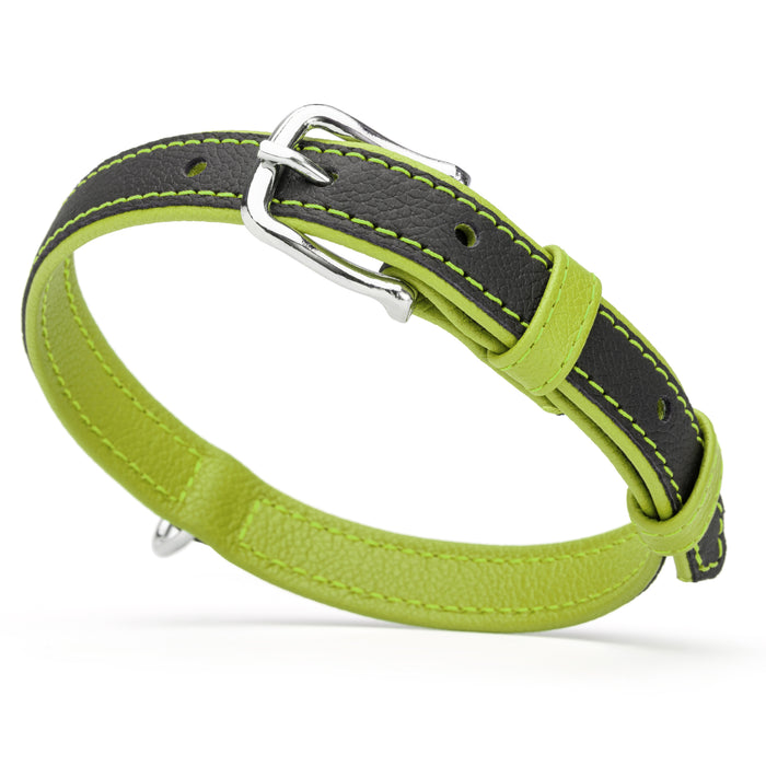 Lime green and black leather collar with metal hardware, width 3/4 inch