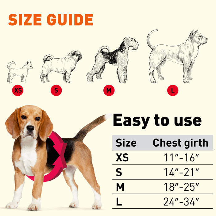 Nylon Flat Step-In Harness