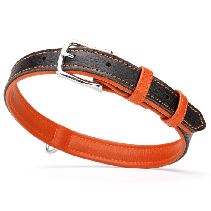 Black and orange leather dog collar with metal buckle and D-ring, 1 inch wide