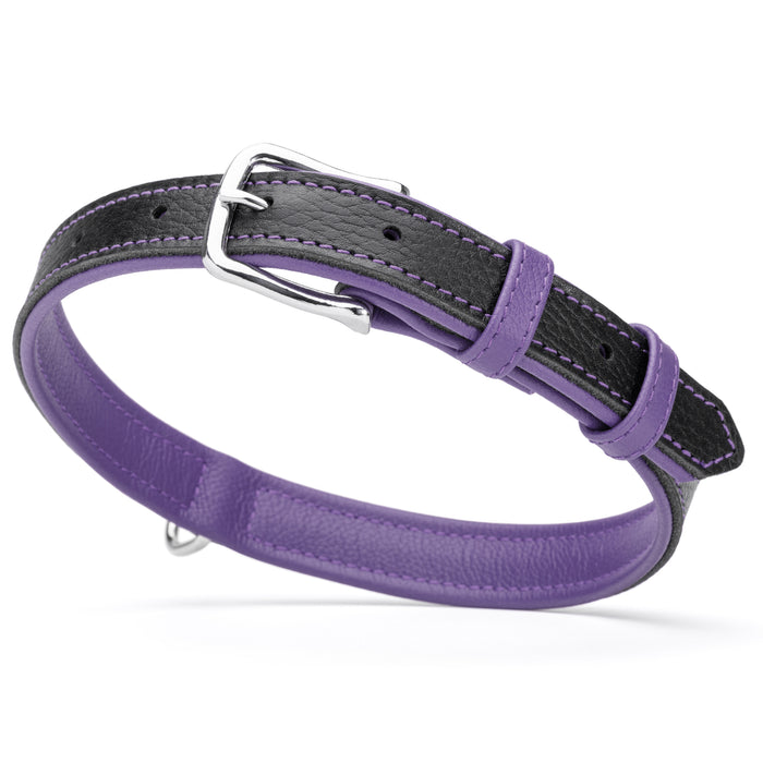 Black and purple leather dog collar with metal buckle and D-ring, 1 inch wide