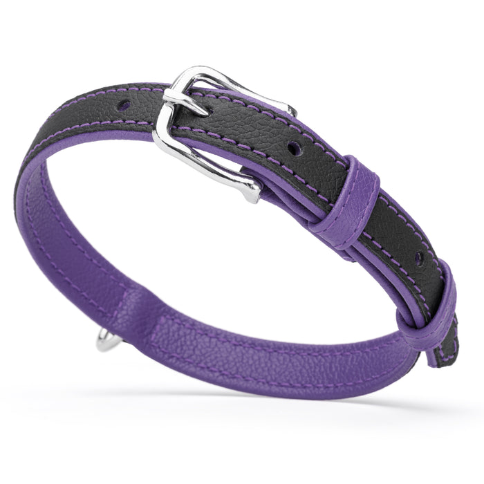 Purple and black leather collar with metal hardware, width 3/4 inch