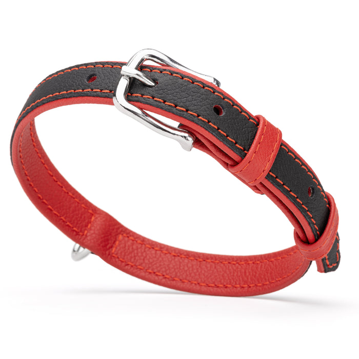 Red and black leather collar with metal hardware, width 3/4 inch