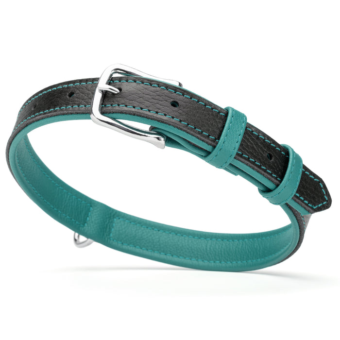 Black and teal leather dog collar with metal buckle and D-ring, 1 inch wide