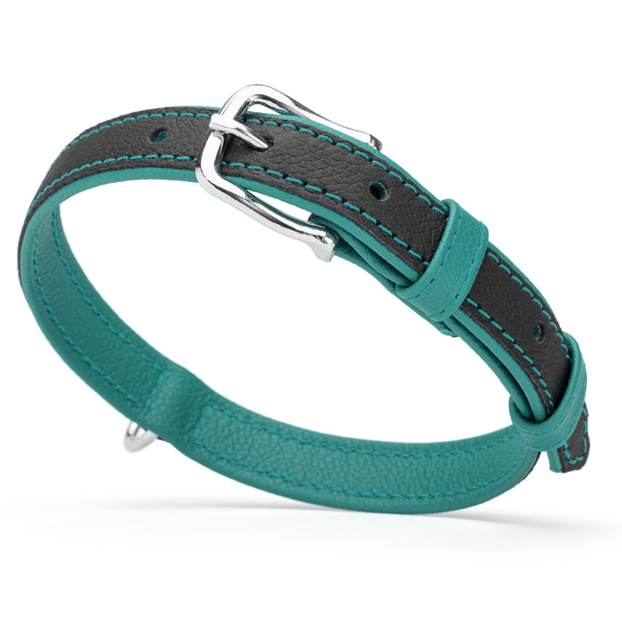 Teal and black leather collar with metal hardware, width 3/4 inch