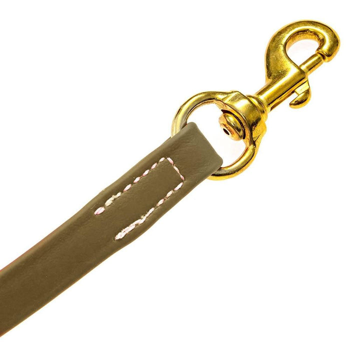 Viper Long Line 33 ft Biothane Dog Lead