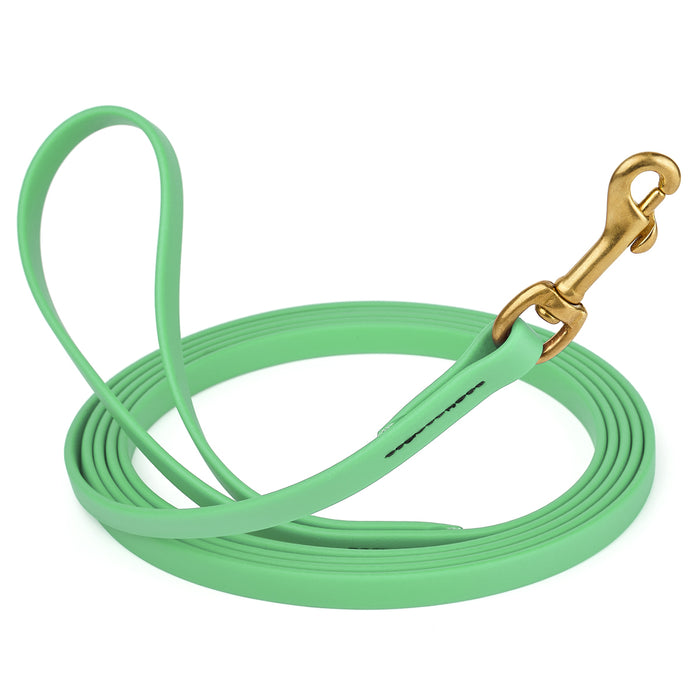 Sea Foam Green dog leash with brass snap hook, made from waterproof and smell proof Biothane, 1/2 inches wide, 20 ft