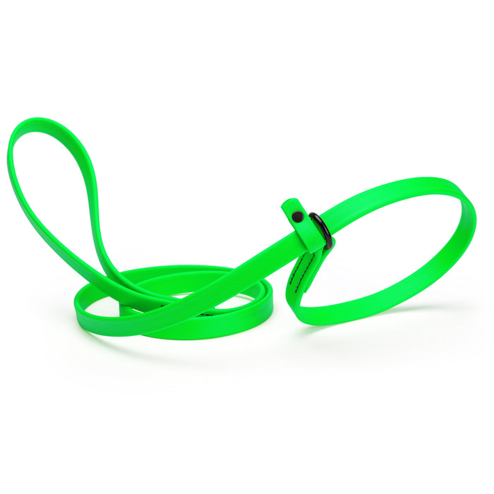 Tropical Green slip lead dog leash, made from waterproof Biothane, 5/8-inch wide