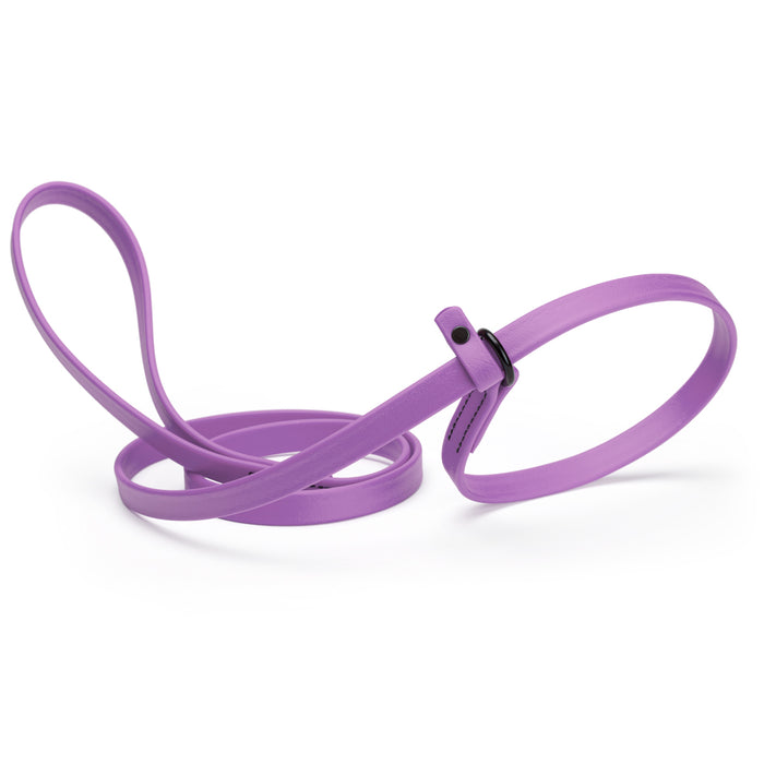 Amethyst Purple slip lead dog leash, made from waterproof Biothane, 5/8-inch wide