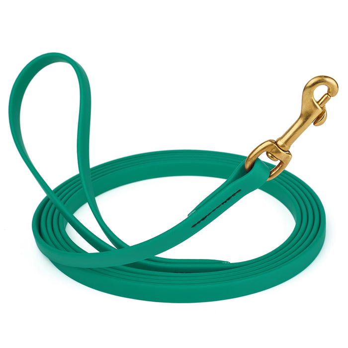 Teal dog leash with brass snap hook, made from waterproof and smell proof Biothane, 1/2 inches wide, 20 ft