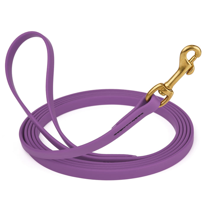 Amethyst Purple dog leash with brass snap hook, made from waterproof and smell proof Biothane, 1/2 inches wide, 15 ft