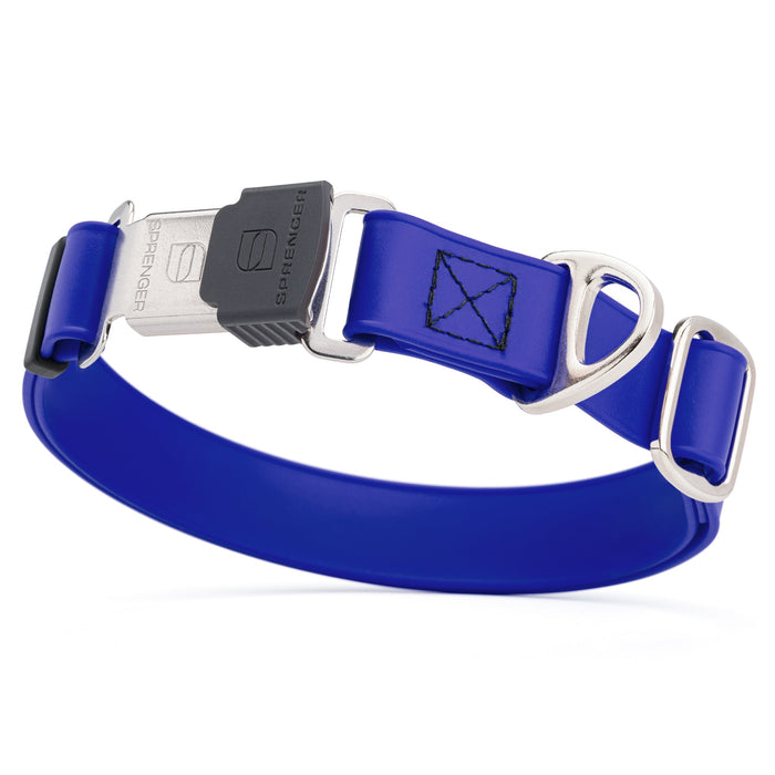Blueberry dog collar with stainless steel Herm Sprenger quick release buckle, made from waterproof Biothane