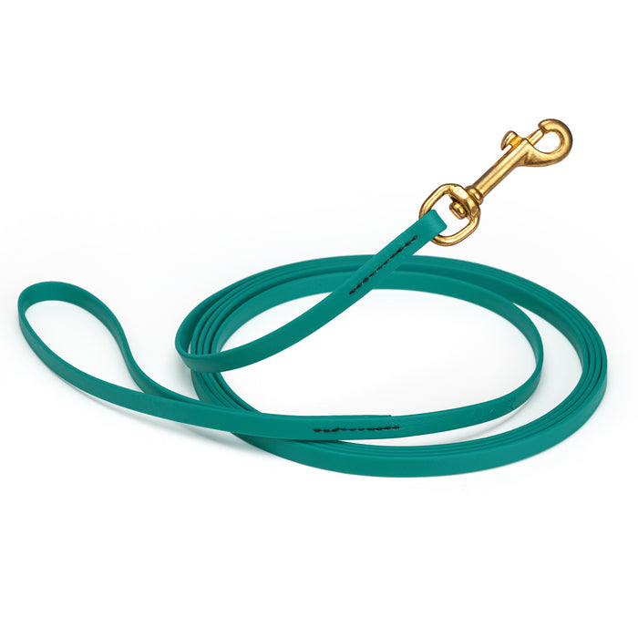 Aqua blue dog leash with brass snap hook, made from waterproof and smell proof Biothane, 3/8 inches wide, 15 ft