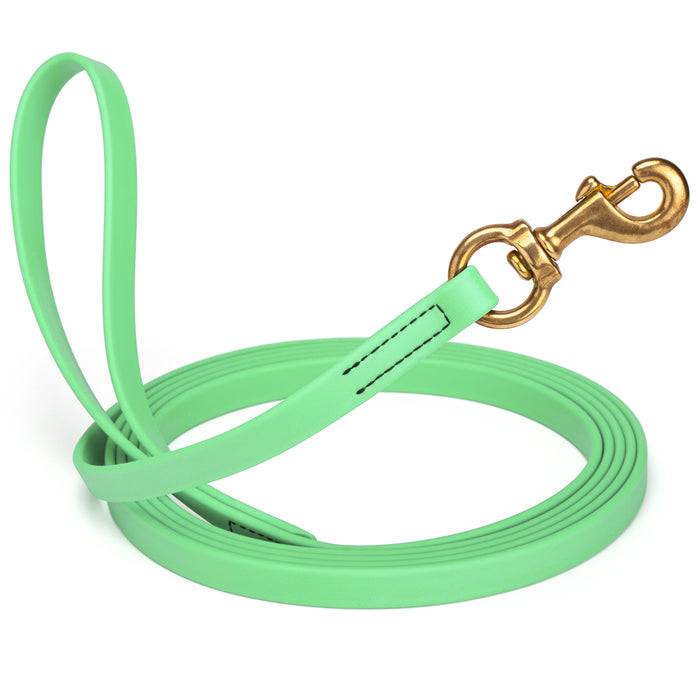 Sea Foam Green dog leash with brass snap hook, made from waterproof and smell proof Biothane, 5/8 inches wide, 10 ft