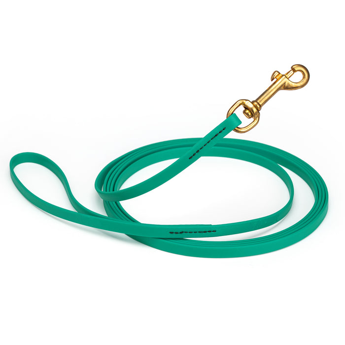 Teal dog leash with brass snap hook, made from waterproof and smell proof Biothane, 3/8 inches wide, 20 ft