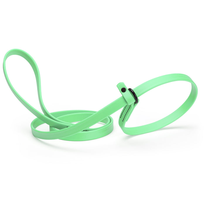 Sea Foam Green slip lead dog leash, made from waterproof Biothane, 5/8-inch wide