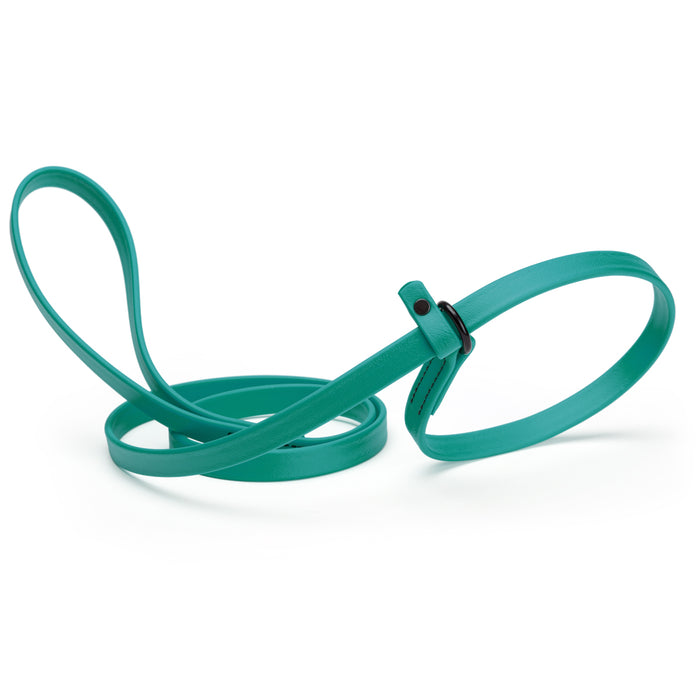 Aqua Blue slip lead dog leash, made from waterproof Biothane, 5/8-inch wide