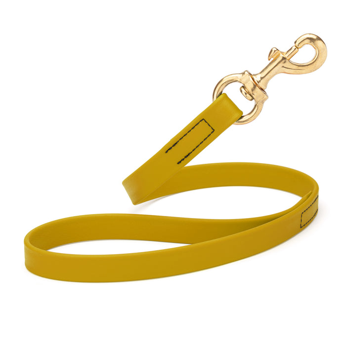 Treasure Gold traffic dog leash with brass snap hook, made from waterproof Biothane