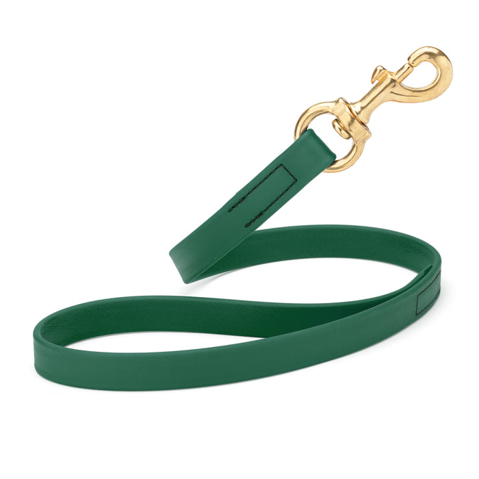 Hunter Green traffic dog leash with brass snap hook, made from waterproof Biothane