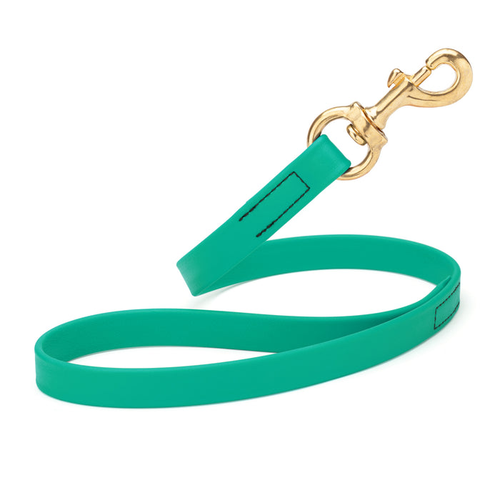 Teal traffic dog leash with brass snap hook, made from waterproof Biothane