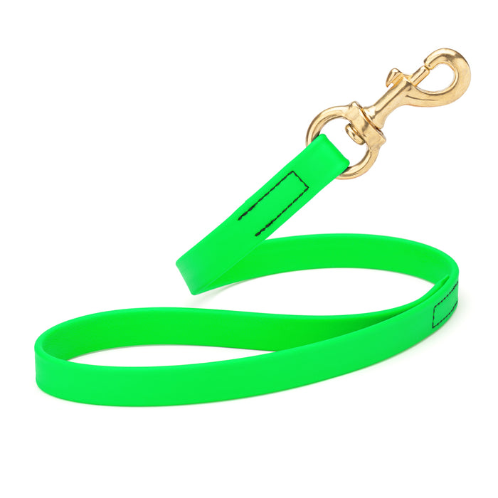 Tropical Green traffic dog leash with brass snap hook, made from waterproof Biothane