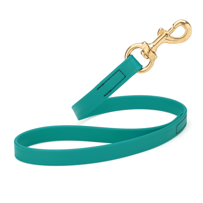Aqua blue traffic dog leash with brass snap hook, made from waterproof Biothane