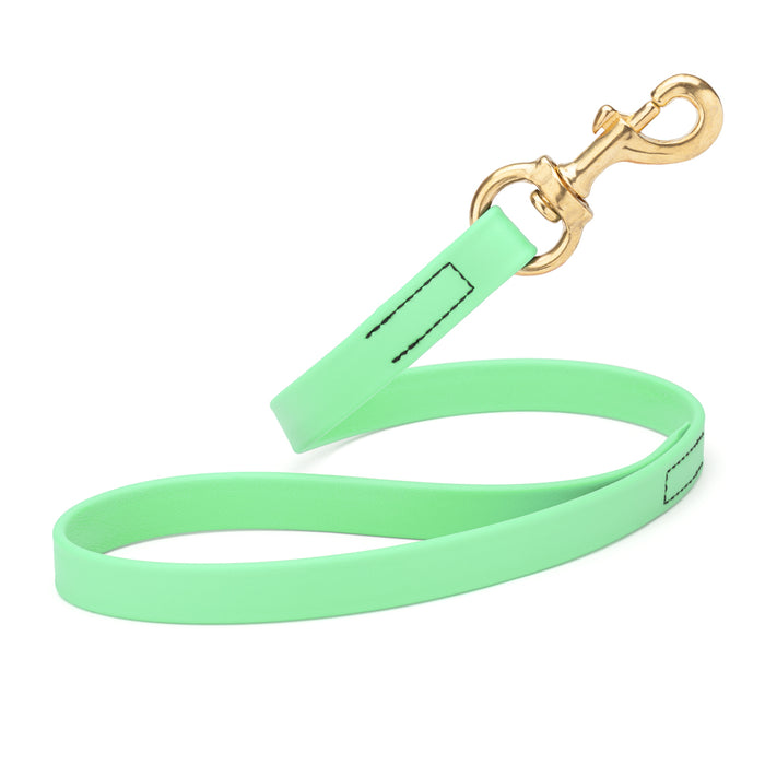 Sea Foam Green traffic dog leash with brass snap hook, made from waterproof Biothane