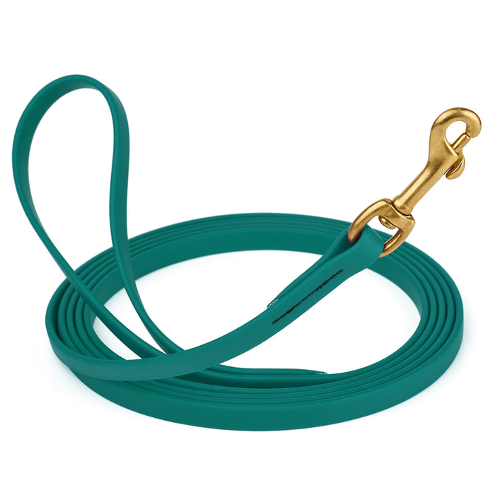 Aqua blue dog leash with brass snap hook, made from waterproof and smell proof Biothane, 1/2 inches wide, 15 ft