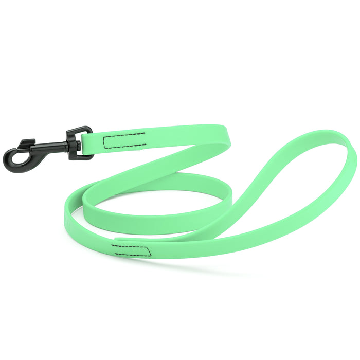 Sea Foam Green dog leash with black snap hook, made from waterproof Biothane, 3/4 or 5/8 inches wide