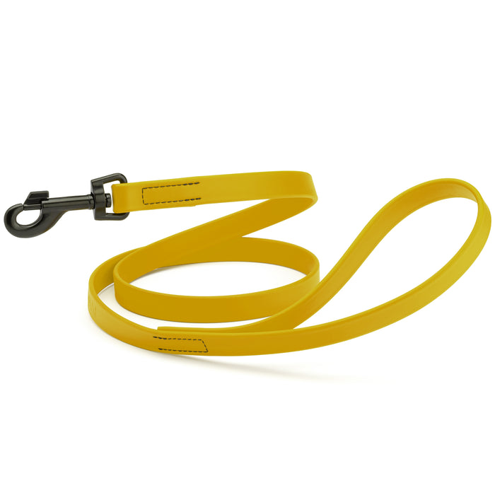 Treasure Gold dog leash with black snap hook, made from waterproof Biothane, 3/4 or 5/8 inches wide