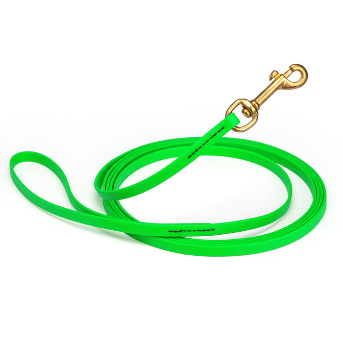 Tropical Green dog leash with brass snap hook, made from waterproof and smell proof Biothane, 3/8 inches wide, 10 ft