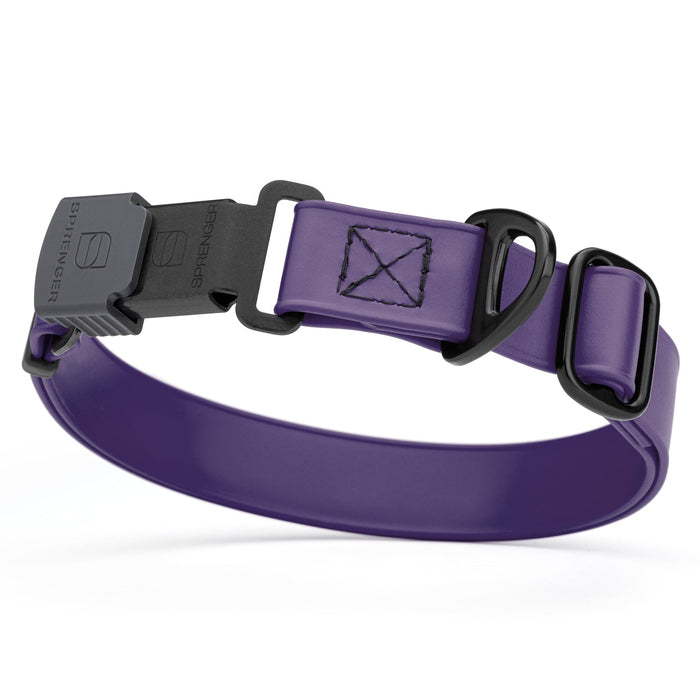 Violet Purple dog collar with black stainless steel Herm Sprenger quick release buckle, made from waterproof Biothane