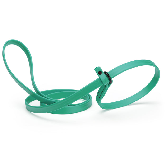 Teal slip lead dog leash, made from waterproof Biothane, 5/8-inch wide