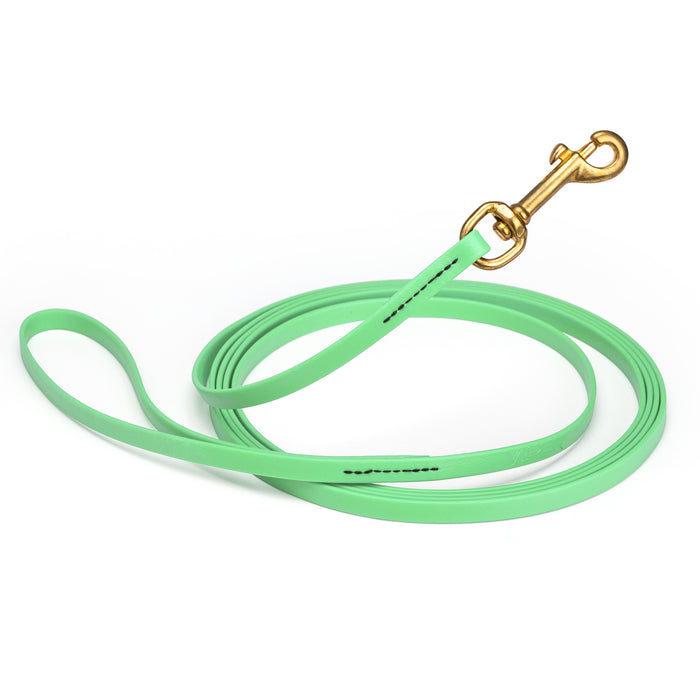Sea Foam Green dog leash with brass snap hook, made from waterproof and smell proof Biothane, 3/8 inches wide, 20 ft