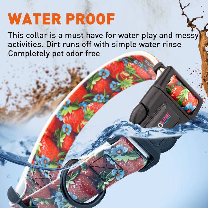 Dogline 3/4" Biothane Printed Dog Collar with Quick Release Buckle