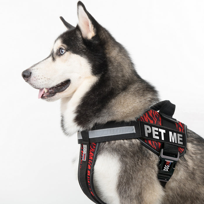 Removable Reflective Patches (Set of 2)