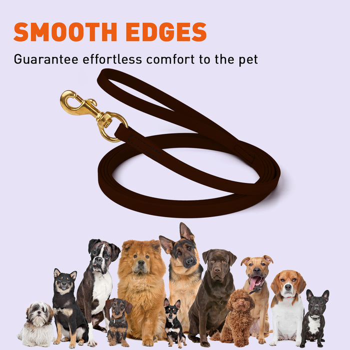 Viper Long Line 20 ft Biothane Dog Lead