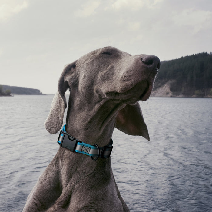 Dogline Biothane Reflective Dog Collar with Quick Release Buckle