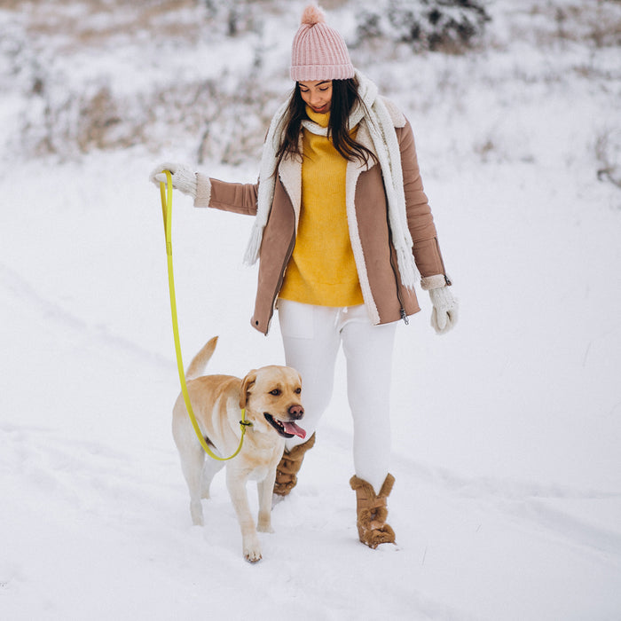 Biothane Dog Slip Lead