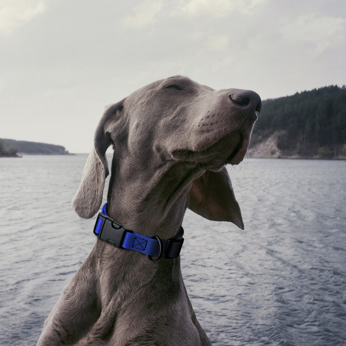 Dogline Biothane Waterproof Dog Collar with Quick Release Buckle