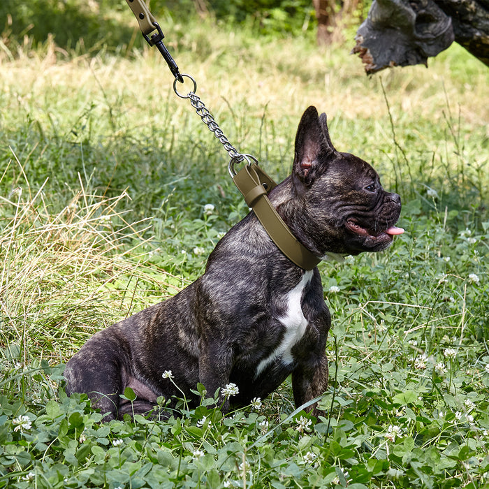 Biothane Adjustable Martingale Dog Collar