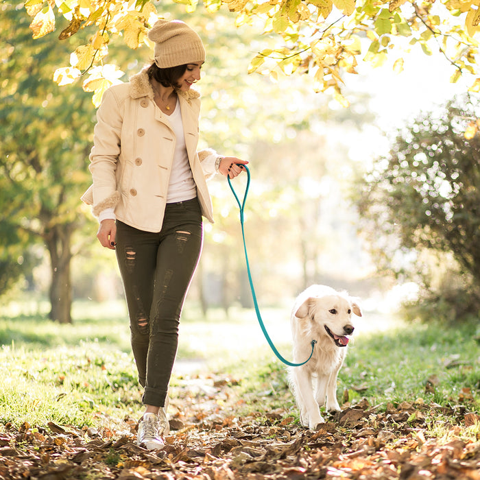 Biothane Dog Slip Lead