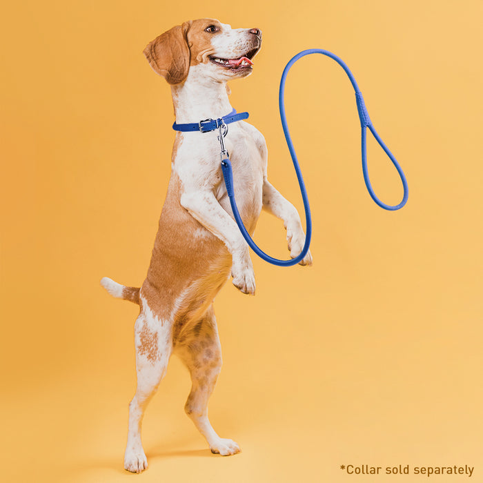 Soft Leather Round Dog Lead