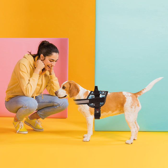 Unimax Multi-Purpose Dog Harness