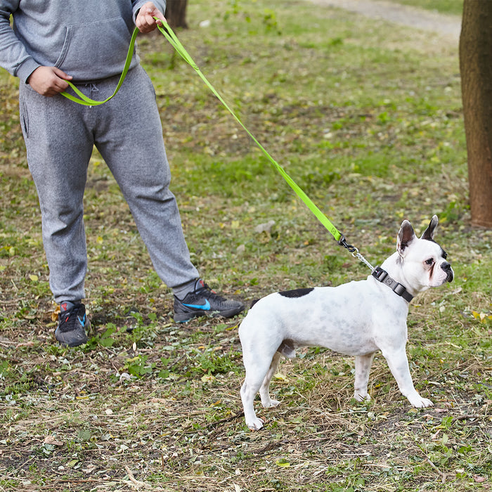 Biothane Waterproof Multi-Handle Dog Leash